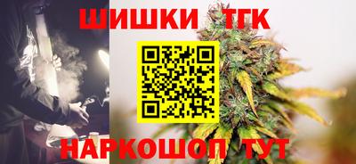 молекула духа Камышлов
