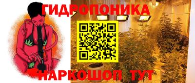 молекула духа Камышлов