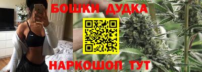 молекула духа Камышлов
