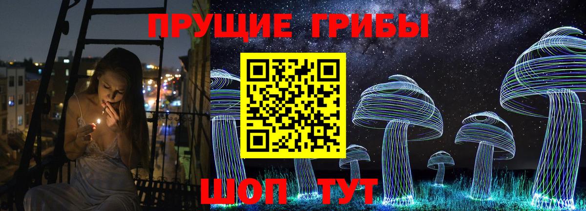 Михайловка  Галлюциногенные грибы Cubensis  Псилоцибиновые грибы MAGIC MUSHROOMS  Вход с VPN 