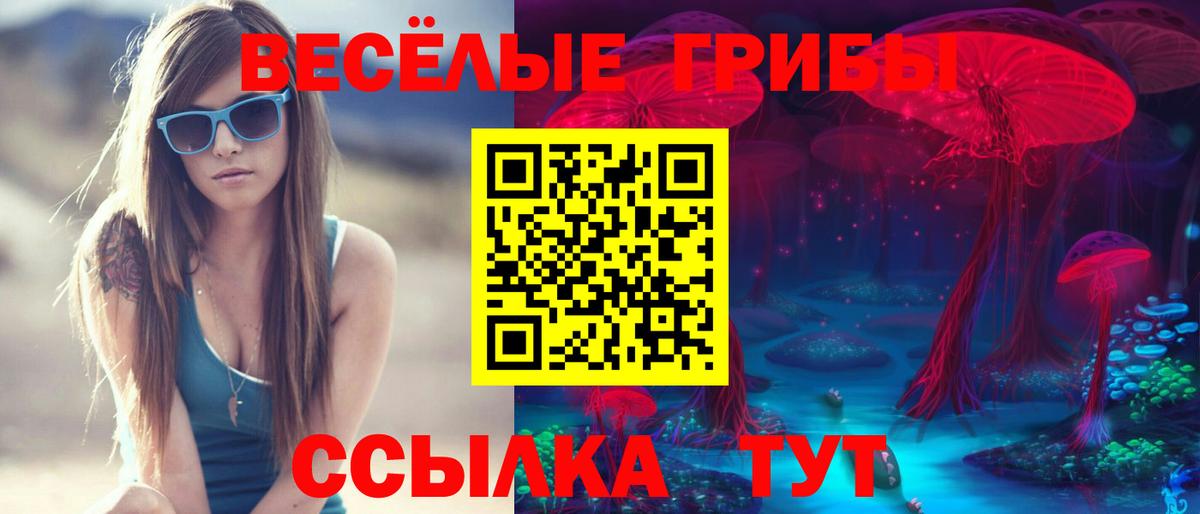 Галлюциногенные грибы прущие грибы Михайловка